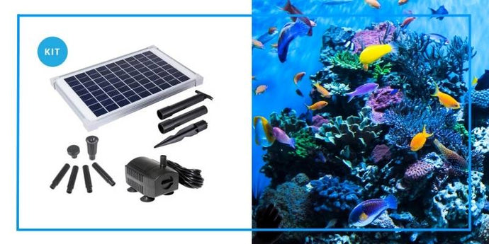 How to Make Your Aquarium More Energy Efficient with Solariver's Solar Water Pump