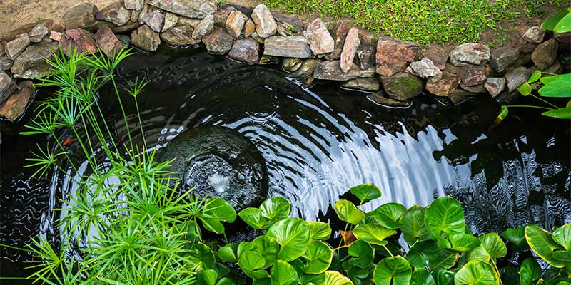 Solar powered water fountain in pond
