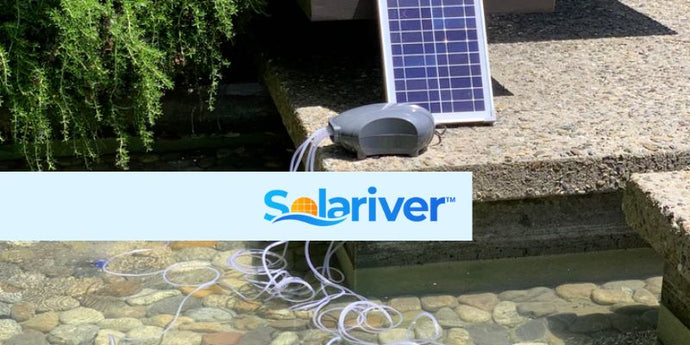 A Step-by-Step Guide to Setting Up Your Solar Pond Aerator