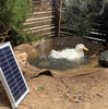 One Lucky Duck Meets A Solar Water Pump