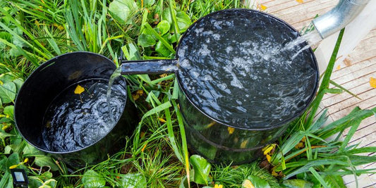 rainwater harvesting and use of solar powered water pumps