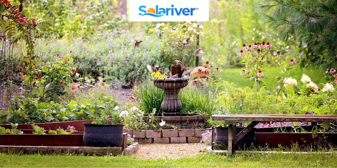 How To Transform An Outdoor Space with Solar Fountain Pumps