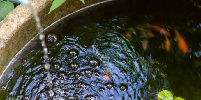 The Benefits of Solar Pond Aerators for Aquatic Health