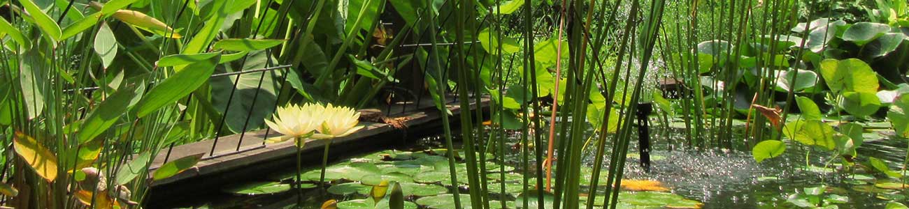 Solar Water Fountain Pumps & Air Pump