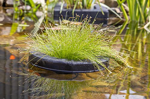 Floating Fabric Aquatic Water Garden Pond Planter Basket, 14 Inch Round for Ponds, Gardens and Water Features