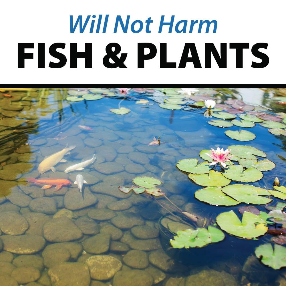 Pond Shock Ball, Natural Enzymes & Live Bacteria, Freshwater Clarifier Shock Treatment, Muck & Sludge Remover