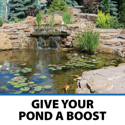 Pond Shock Ball, Natural Enzymes & Live Bacteria, Freshwater Clarifier Shock Treatment, Muck & Sludge Remover