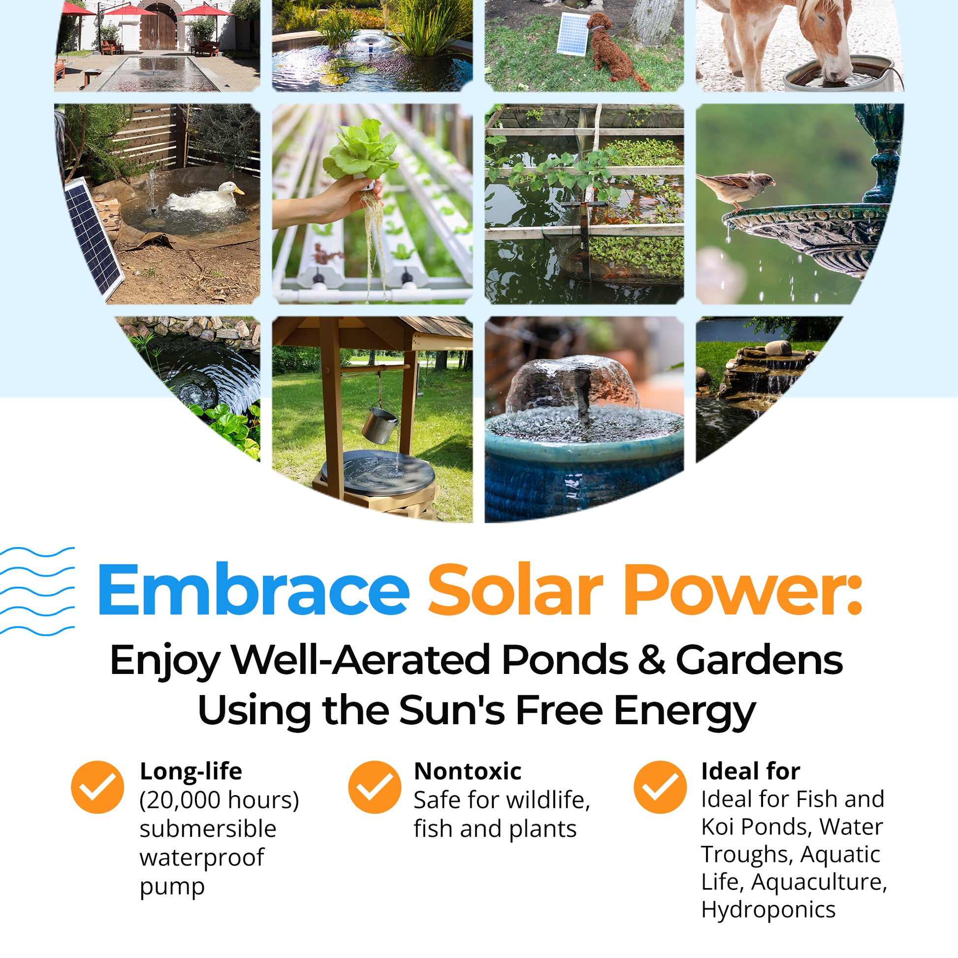 Energy efficient pond equipment infographic
