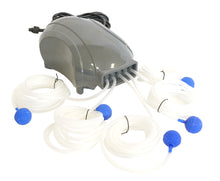 Load image into Gallery viewer, Solariver™ Solar Pond Aerator (DC Air Pump, 10w Solar Panel, 5 Air Stones)
