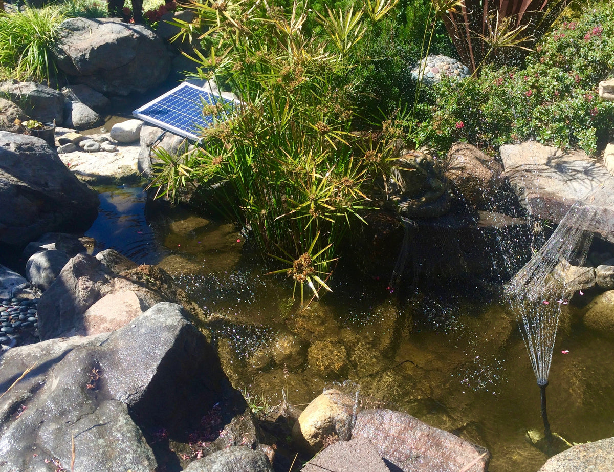 Photograph of a pond using the 360+ GPH Solariver Solar Water Pump Kit
